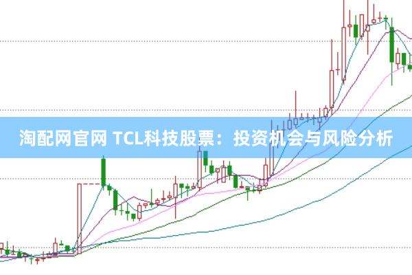 淘配网官网 TCL科技股票:投资机会与风险分析