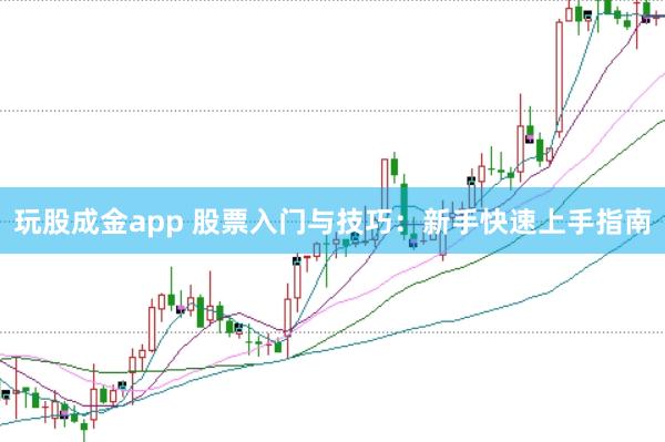玩股成金app 股票入门与技巧：新手快速上手指南