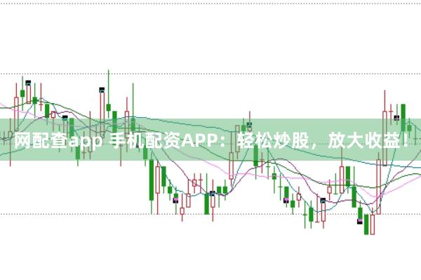 网配查app 手机配资APP:轻松炒股,放大收益!