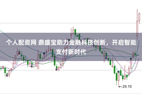 个人配资网 鼎盛宝助力金融科技创新，开启智能支付新时代
