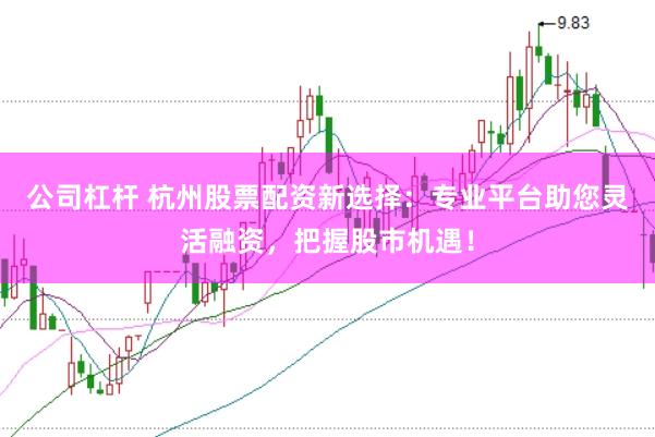 公司杠杆 杭州股票配资新选择：专业平台助您灵活融资，把握股市机遇！