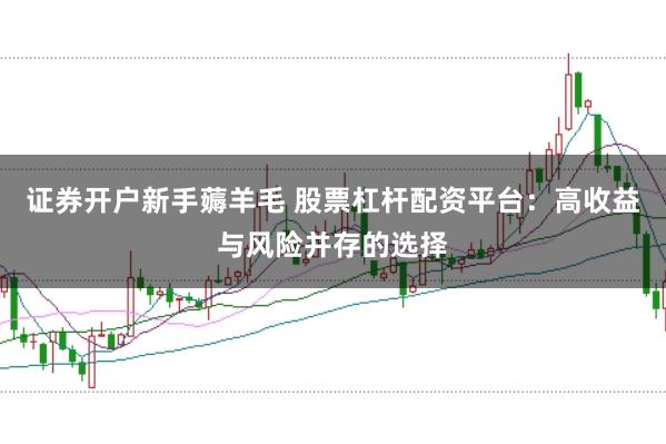 证券开户新手薅羊毛 股票杠杆配资平台:高收益与风险并存的选择