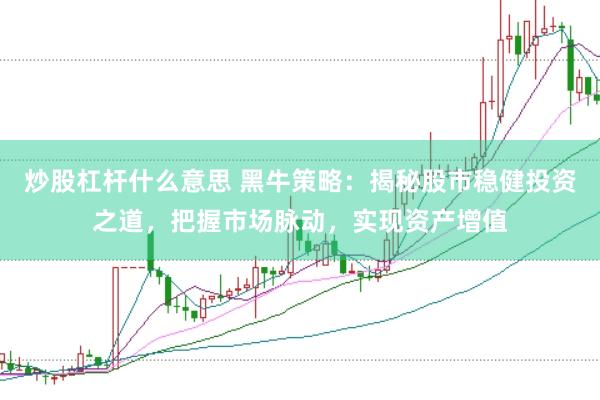 炒股杠杆什么意思 黑牛策略：揭秘股市稳健投资之道，把握市场脉动，实现资产增值